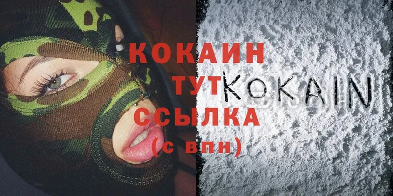 Где купить Вязники Cocaine  блэк спрут ТОР  Псилоцибиновые грибы  ГАШИШ  А ПВП  Мефедрон 